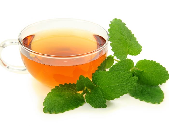 8 Best Benefits of Lemon Balm Tea Organic Facts