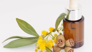 An essential oil bottle surrounded by yellow flowers and leaves