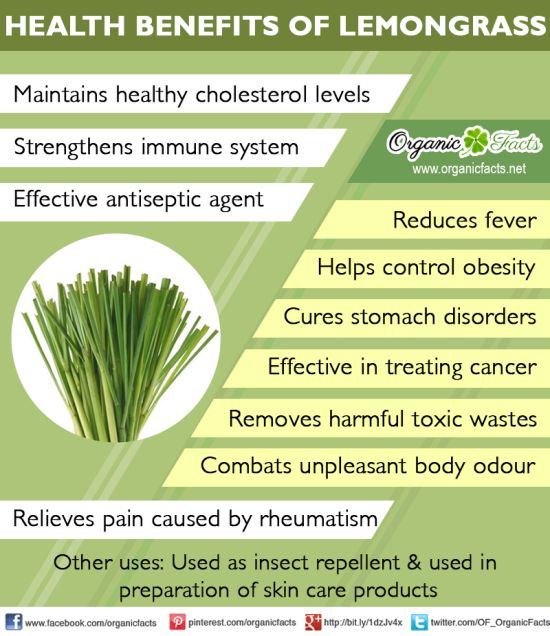 lemongrassinfographic.jpg