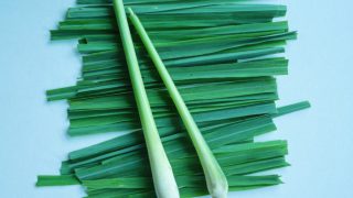 Strands of lemongrass on a light green background