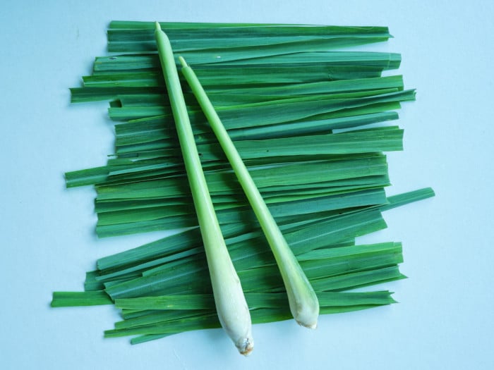 Strands of lemongrass on a light green background