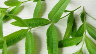 Close-up of lemon verbena leaves on a white wooden table