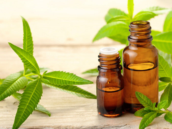 Lemon Verbena Oil: Benefits & Uses