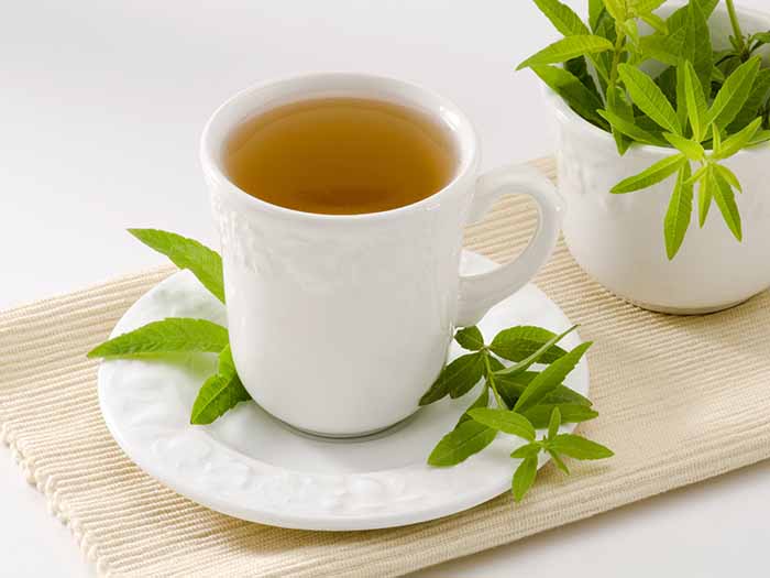 White cup of lemon verbena tea and lemon verbena leaves