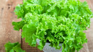 Close-up of fresh green lettuce leaves on a wooden table