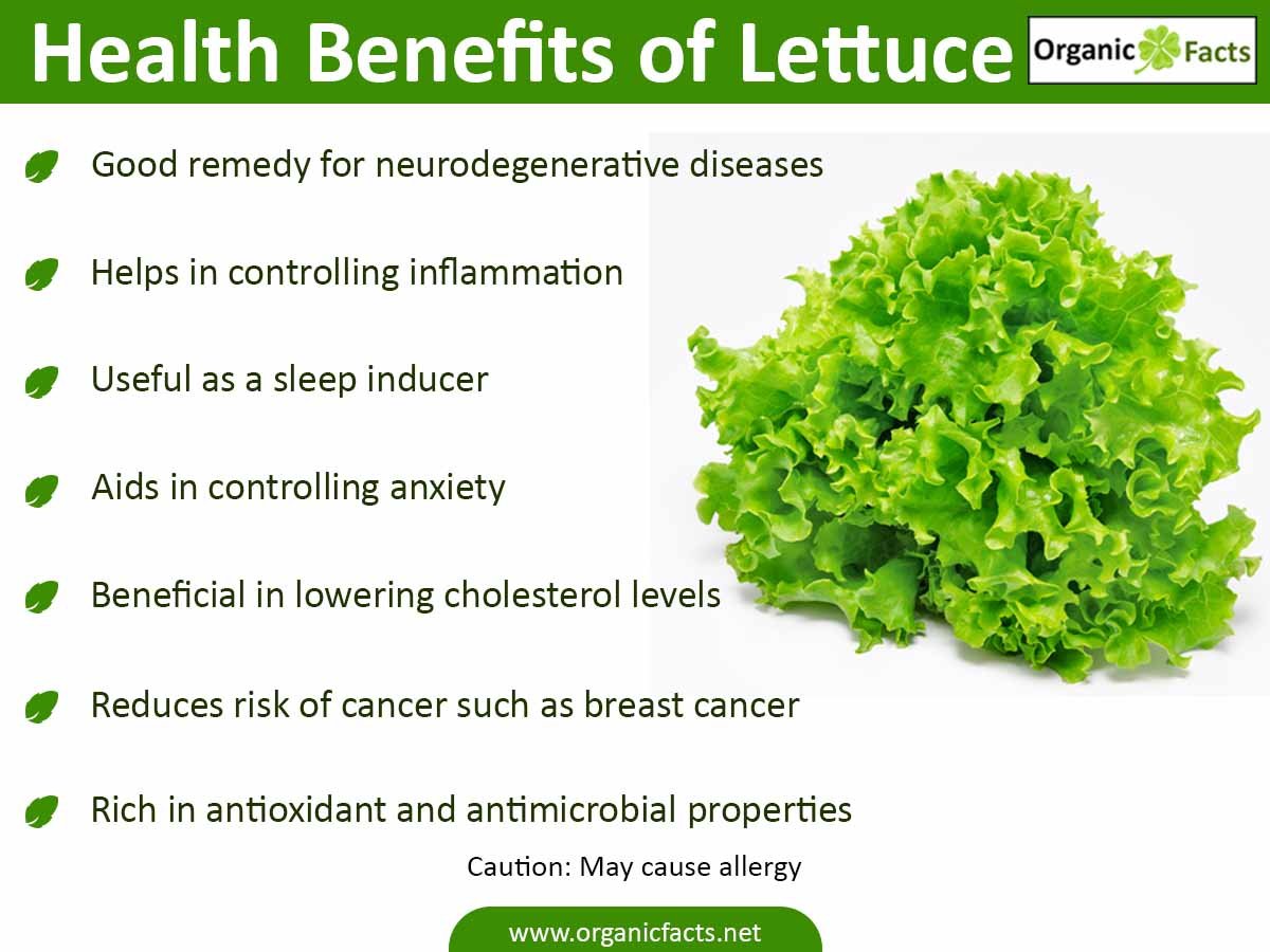 8 Impressive Benefits of Lettuce | Organic Facts