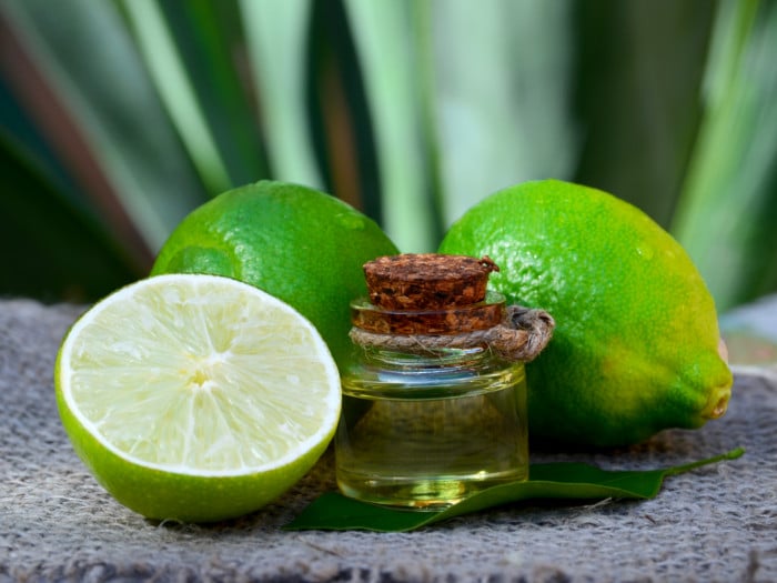 Close up of a lime essential oil bottle, next to a whole and halved limes