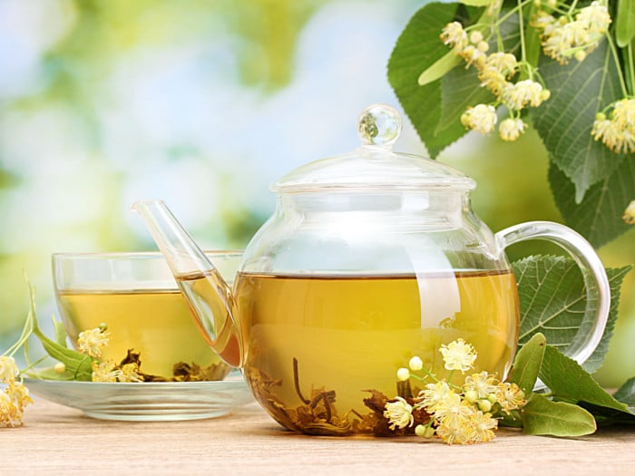 Linden tea in a teapot and cup with the linden plant in the background