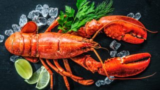 A whole lobster, with ice and lemon slices on the side