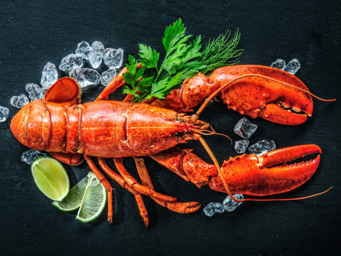 A whole lobster, with ice and lemon slices on the side