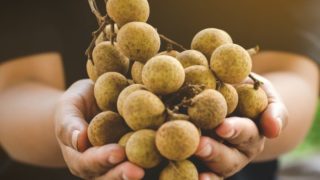 15 Wonderful Benefits of Longan Fruit