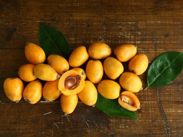 Image result for Loquat