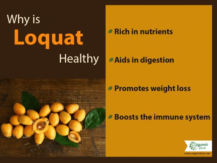 Loquat Benefits, Side Effects, & How to Eat Organic Facts