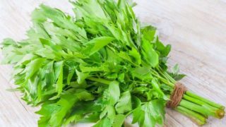 Bright green stalks and feathery leaves of lovage herb