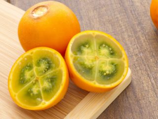 shimano calcutta 50 for sale