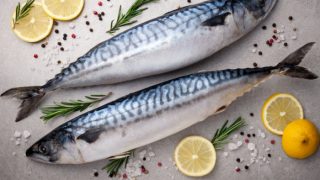 2 fresh mackerels with salt, lemon, and spices on a grey background