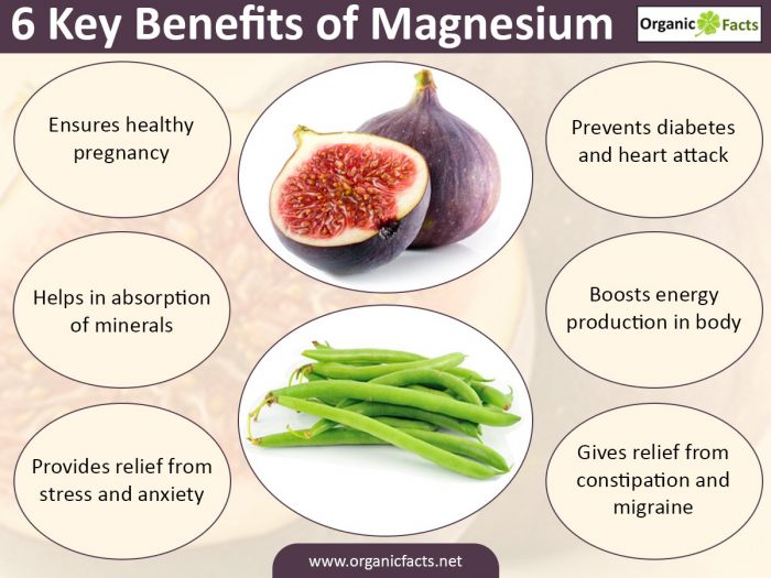 An infographic on health benefits of magnesium 