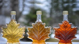 The maple shaped glass bottles containing maple syrup