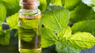 A bottle of melissa essential oil with fresh melissa herb leaves on a wooden table