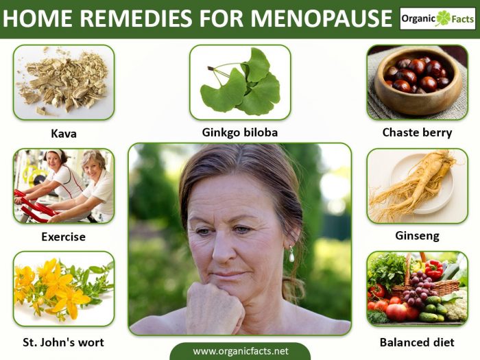 Menopause Natural Treatment Diet at Peggy Landa blog