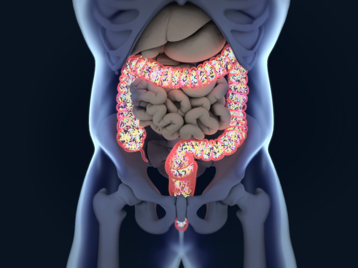 A graphic displaying gut microbiome
