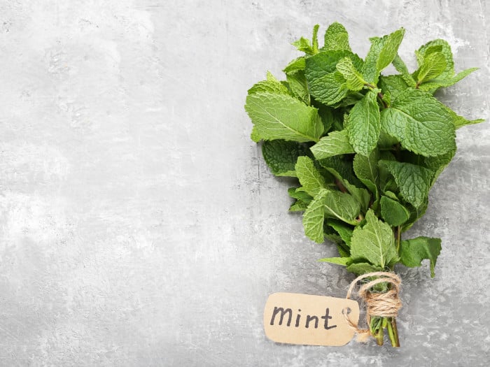 Mint Pudina Benefits Nutrition Facts Calories and Side Effects