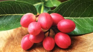 Close up of fresh miracle fruits with green leaves on a wooden table