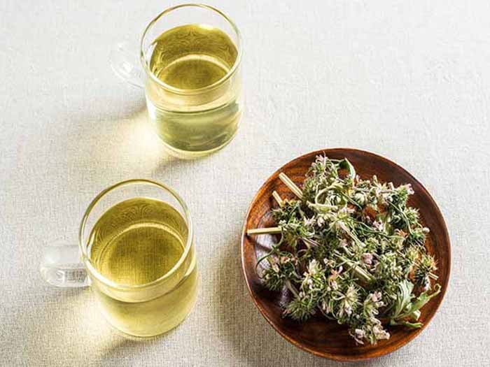 Two cups of motherwort teas kept next to a bowl of dried motherwort herbs on top of a white surface