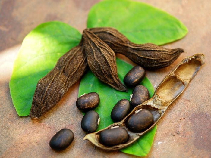 Dried mucuna pruriens fruit, leaves, and legumes