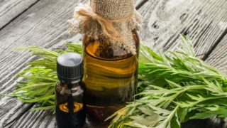 Two bottles of mugwort essential oil with the mugwort plant on a grey wooden background