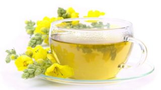 A cup of mullein tea placed next to mullein flowers, against a white background