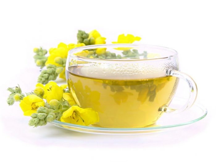 A cup of mullein tea placed next to mullein flowers, against a white background