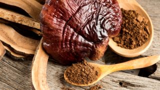 Lingzhi mushroom and reishi mushroom powder