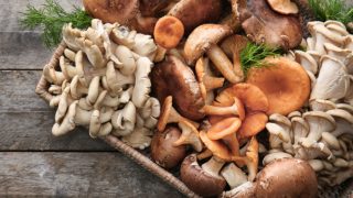 A platter filled with mushrooms of different kinds