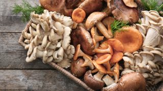 15 Types Of Mushrooms & How To Use Them
