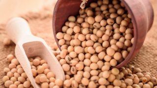 A close-up shot of nattokinase