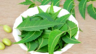 A white bowl filled with neem leaves surrounded by some neem fruits on a wooden table