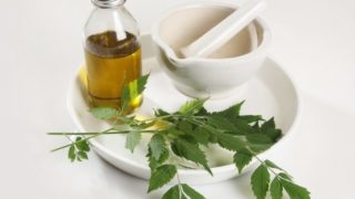 Neem oil in a bottle in a white ceramic plate with mortar and pestle and some neem leaves