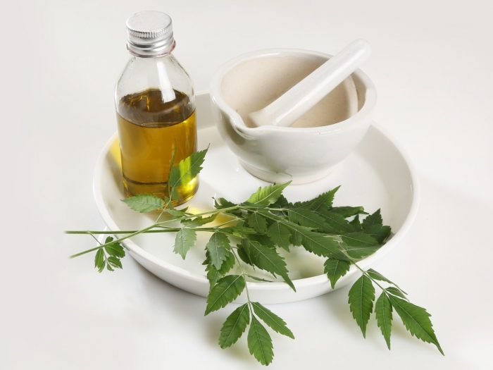 Neem oil in a bottle in a white ceramic plate with mortar and pestle and some neem leaves