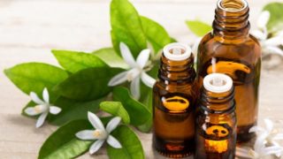 Bottles of neroli essential oil with fresh green leaves and white flowers on a wooden table