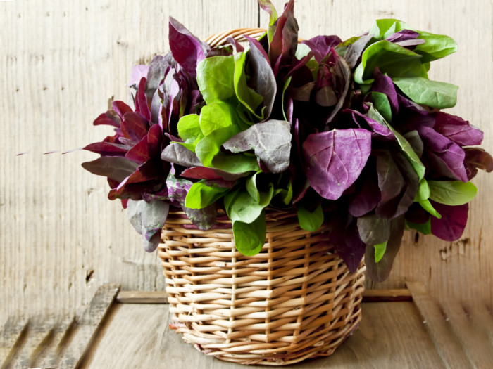 Bunch of orach flowers in a basket