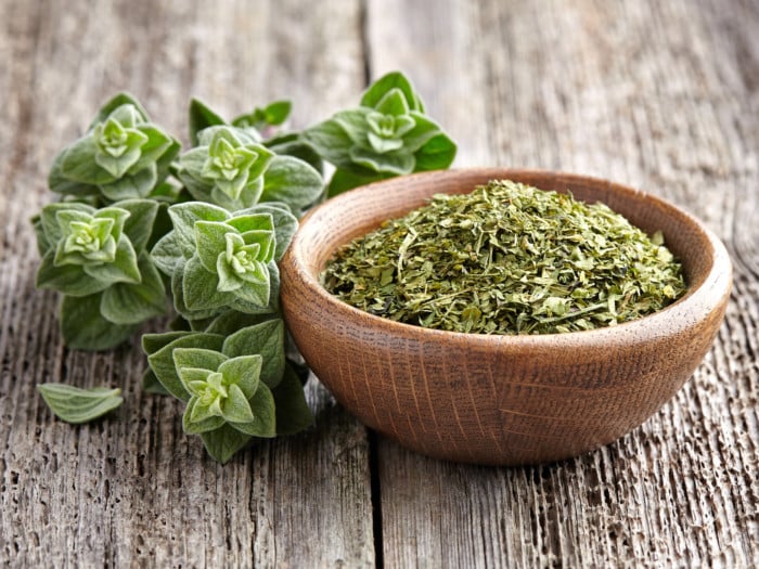 Fresh oregano herb and a wooden bowl of dried oregano on a wooden table