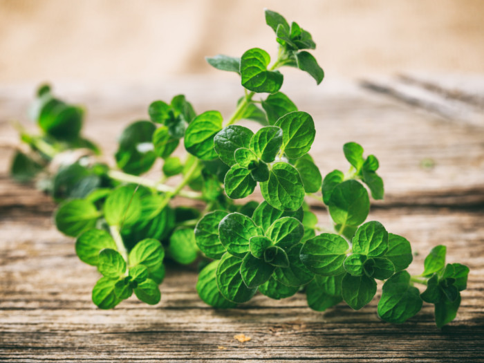 A twig of oregano leaves on a wooden table