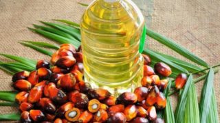 A bottle of palm oil surrounded by fresh palm fruits on palm leaves
