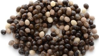 Papaya seeds on a white background