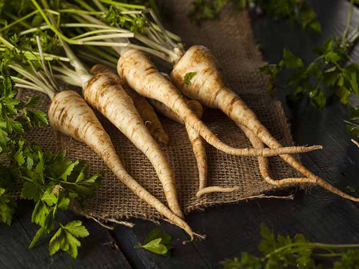 A close-up shot of a group of parsley roots placed on black platforms