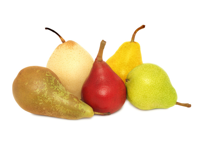 peartypes 1 - WAT ZIJN PEREN? DE BESTE 8 SOORTEN PEREN