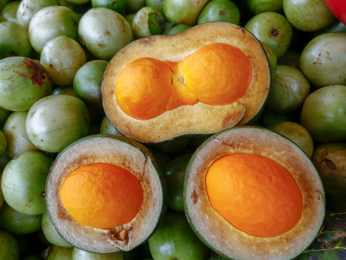 Closeup of a cut pequi on a bed of whole pequis.