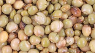 Close-up image of pigeon pea seeds
