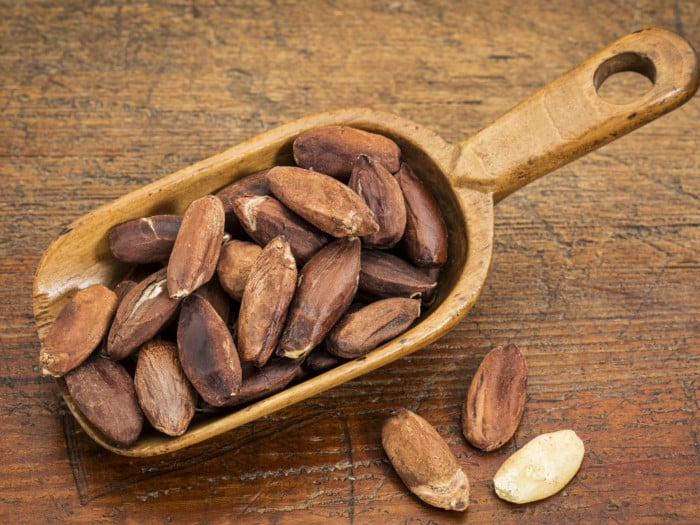 11 Amazing Benefits Of Pili Nuts Organic Facts
